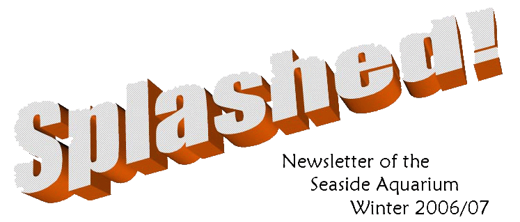 Splash Newsletter